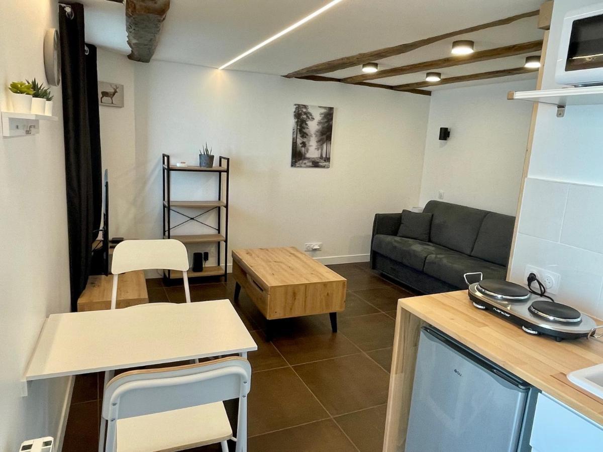 Studio De Charme Proche Nantes & Aeroport Au Calme Rezé Buitenkant foto
